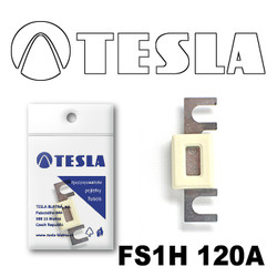 �������������� Tesla �������������� ��������� � ���������� 120� | ������� FS1H120A
